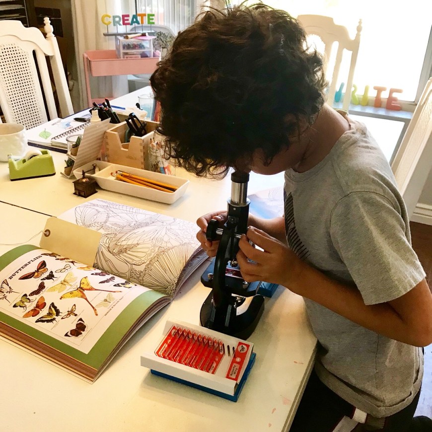 Microscope Observations